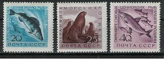 Russia,  Ussr:1960 Sc 2375 - 77 Mnh - Pikepearsh,  Fur Seals,  Whitefish