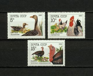 (bird 058) Russia Ussr 1990 Mnh Birds