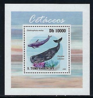 A319 Nh 2009 St Thomas Deluxe Souvenir Sheet Of Sealife Mammals Whales