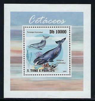 A320 Nh 2009 St Thomas Deluxe Souvenir Sheet Of Sealife Mammals Whales
