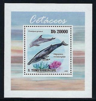 A322 Nh 2009 St Thomas Deluxe Souvenir Sheet Of Sealife Mammals Whales