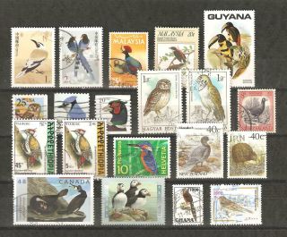 Worldwide 20 Fine Bird Stamps,  - Birds - Puffin,  Kiwi,  Blue Duck,  Jay More
