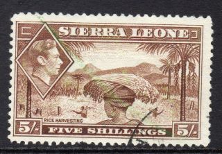 Sierra Leone Kgvi 1938 - 44 5s Red Brown Sg198