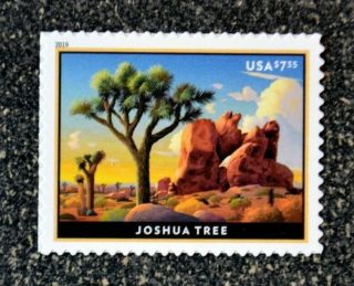 2019usa 5347 $7.  35 Joshua Tree - Priority Mail - Nh