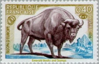 Ebs France 1974 European Bison (bison Bonasus) Bison D 