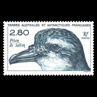 Taaf 1994 - Antarctic Fauna Birds - Sc 197 Mnh