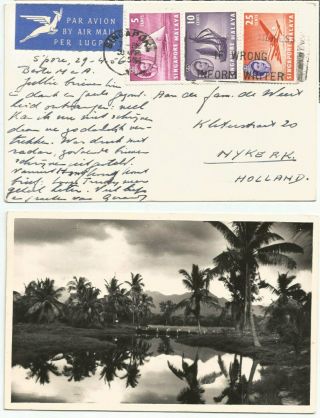 Singapore 1956 Mcrithie Reservoir,  Singapore B/w Rppc Sent To Holland