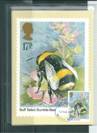 Wbc.  - Gb - Phq Cards - 1985 - Insects - Front - Fdi/shs - Comp Set