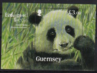 Guernsey 2013 Panda Min.  Sheet Fine Fresh Mnh