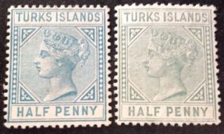 Turks Islands 1882 - 85 Both Types Of 1/2d Green Stamps Hinged