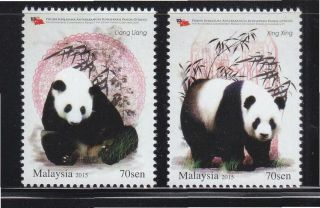 Malaysia 2015 Giant Panda Conservation Project Fauna Animals Stamp Set 2v Mnh