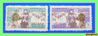 North Vietnam Rural Postal Service Mnh Ngai