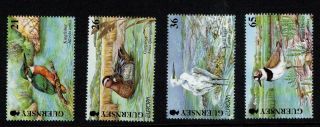 Guernsey Stamps Europa Water Treasure Of Nature Birds 2001