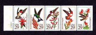 2642 - 46 29 - Cent Hummingbirds Booklet Pane W/platenos - Mnh