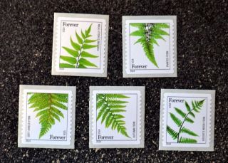 2014usa 4874 - 4878 Forever - Ferns Coil Set Of 5 Singles Nh