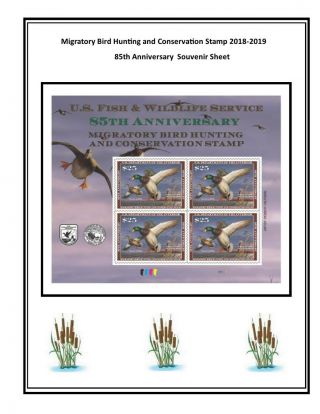 Rw85a U.  S.  Supplement 2018 Duck Stamp 85th Anniversary Ss (similar To White Ace)
