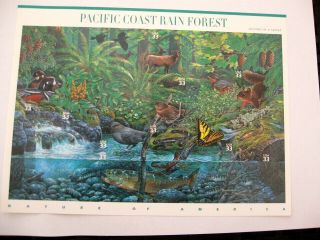 U.  S.  A Stamp Sheet Of Nature Of America Pacific Coast Rain Forest.