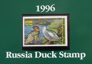Russia (RD08) 1996 Russia Duck Stamp Presentation Folder with Stamp 3