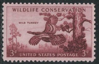 Scott 1077 - Wildlife Conservation,  Wild Turkeys - Mnh 3c 1956 - Stamp