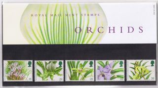 Gb Presentation Pack 236 1993 Orchids 10 Off 5