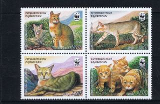 Da930 Tajikistan 2002 Jungle Cat Wwf Mnh