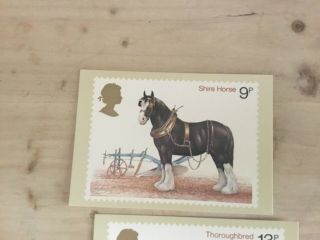 Great Britain Gb 1978 Full Set Phq Stamp Cards No 30 Horses 4 Cards