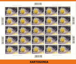 Greece 2012,  Full Sheet Of Stamps " Anemonia Viridis ",  0.  05 Euros,  ΜΝΗ
