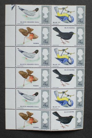 Gb Qeii 1966 British Birds (ord) Mnh Block Of 12