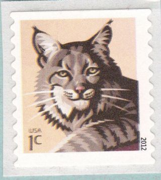 Bobcat Stamp Wildlife Cat Nature Animal 2012 Us 1 Cent Postage Usps