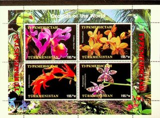Turkmenistan Orchids Of World Flower 4v Brassia Aurantiaca Fine Sheet