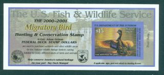 Us Fish & Wildlife Migratory Bird Hunting & Conservation Stamp 2000 - 2001