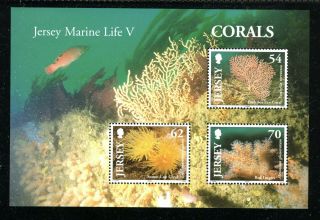 Jersey 1143a,  2004 Corals,  M/s Of 3,  Mnh (jer020)