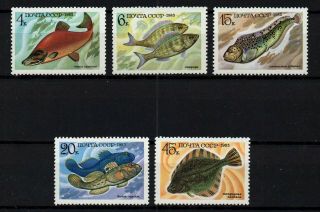 Russia,  Scott 5164 - 5168,  Set Of 5 Various Types Of Food Fish,  Never Hinged
