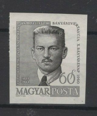 Hungary,  Magyar,  Stamps,  1960,  Mi.  1702 B.