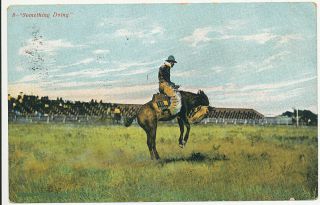 1909 Congress Arizona Territory Cancel ties 300 to Post Card Rodeo Scene 2