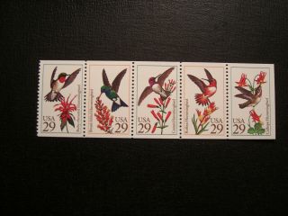 United States Scott 2642 - 2646 Hummingbirds Booklet Pane Of 5 Stamps