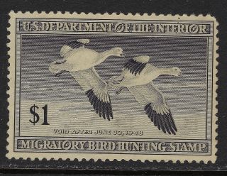 Scott Rw14 1947 $1 Duck Stamp Issue Mnh Og Vf Cat $55
