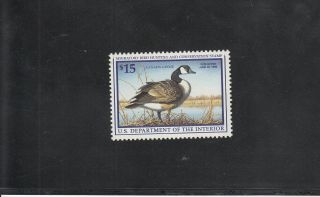 Rw64 Canada Goose Nh Duck Stamp Cv $27.  50