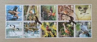 Gb Qeii Comm.  Stamps.  2007 (sg 2764 - 73) Action For Species.  Birds.  Set From Fdc