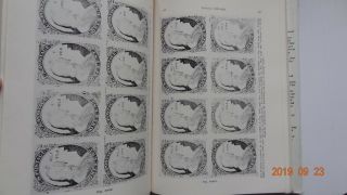 (RF) The United States 1c Stamp of 1851 - 1862 - 1972 Hardcover & Slipcase 7