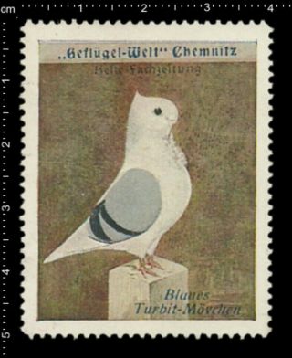 Old German Poster Stamp Cinderella,  Poultry Chemnitz Blue Owls Turbit Pigeon.