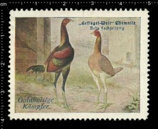 Old German Poster Stamp Vignette,  Poultry Chemnitz Gold Necked Fighters Rooster.