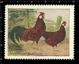 German Poster Stamp Vignette,  Poultry Chemnitz,  Hamburger Gold Lacquer Chicken.