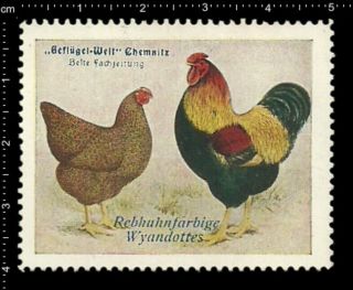 Old German Poster Stamp Cinderella,  Poultry Chemnitz Partridge Colored Wyandotte
