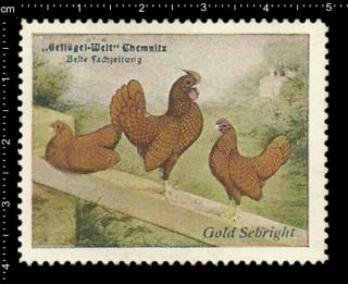 German Poster Stamp Vignette Cinderella,  Poultry Chemnitz Gold Sebright Chicken.