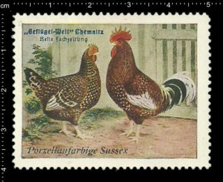 German Poster Stamp Vignette,  Poultry Chemnitz,  Porcelan Colored Sussex Chicken.