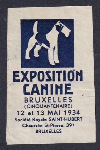 Belgium Poster Stamp Dog Exhibition Bruxelles 1934