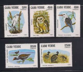 Cape Verde 1981 Sc 436 - 40 Birds Mnh (3 - 4246)