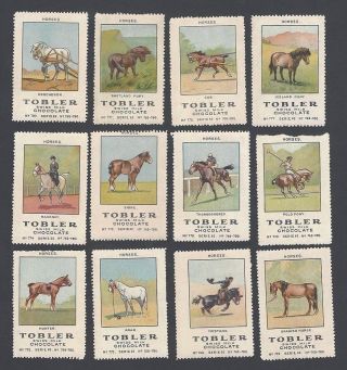 Horses Tobler Poster Stamps Complete Set Of 12