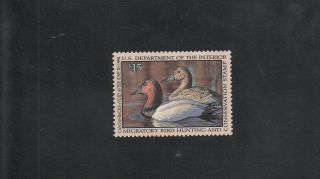 Rw60 Canvasbacks Nh Duck Stamp Cv $27.  50